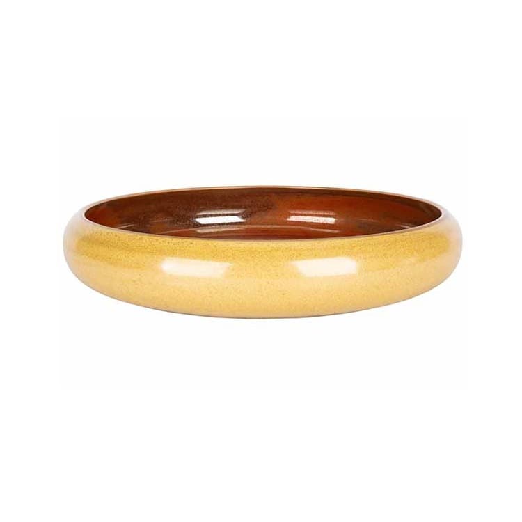 Тарелка с закругленным бортом d 24 см h 4,9 см CosyTrendy Elements Mustard 5698013